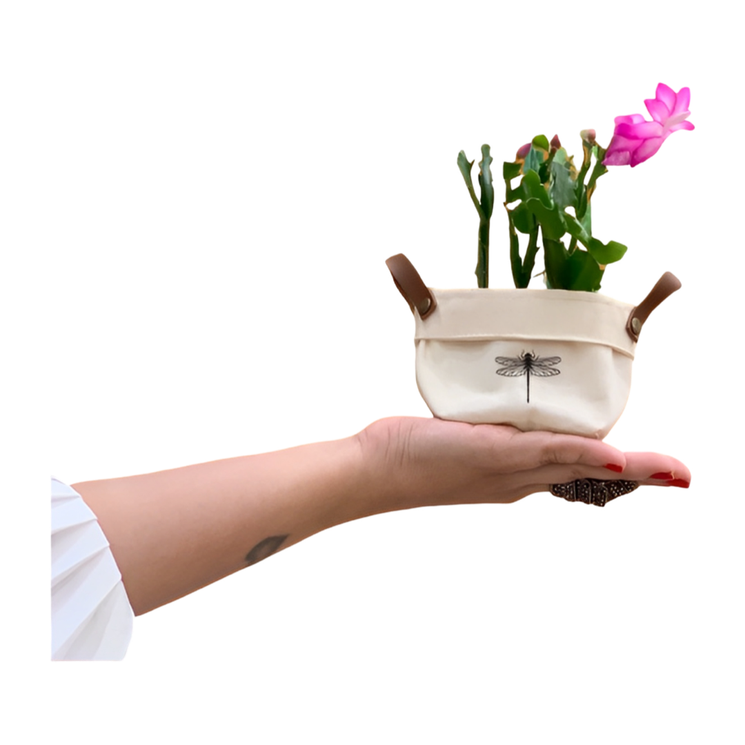 Mini Cesto